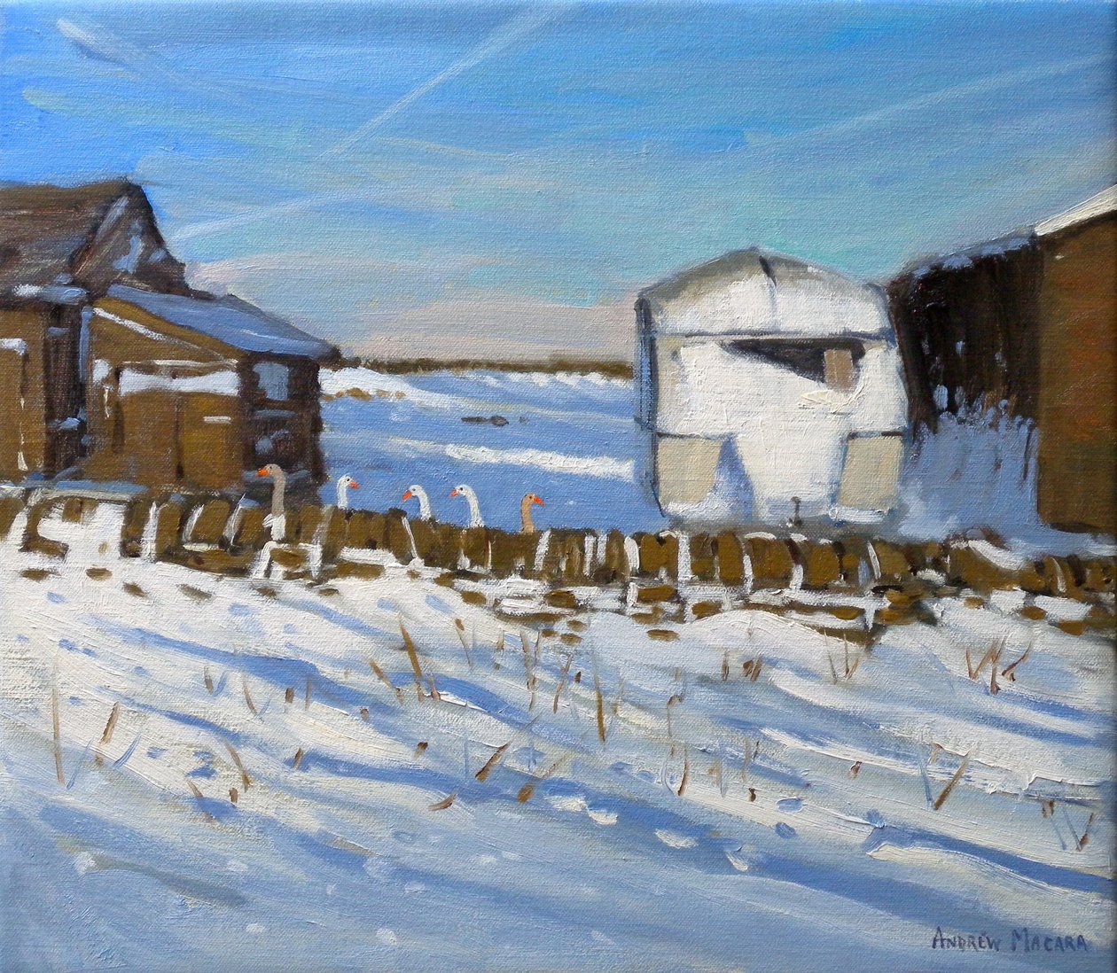 Caravan en Ganzen, Derbyshire, 2011 door Andrew Macara