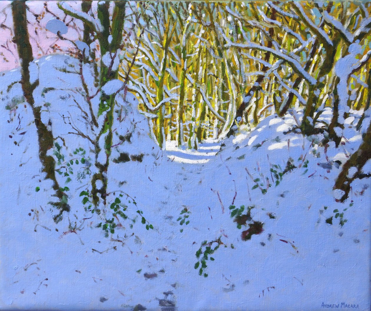 Pad door het bos in de winter, Derbyshire door Andrew Macara