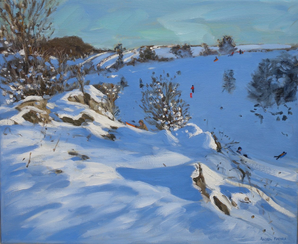  door Andrew Macara