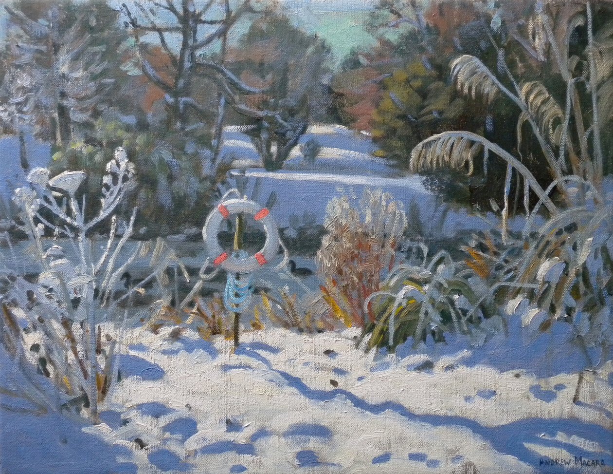  door Andrew Macara