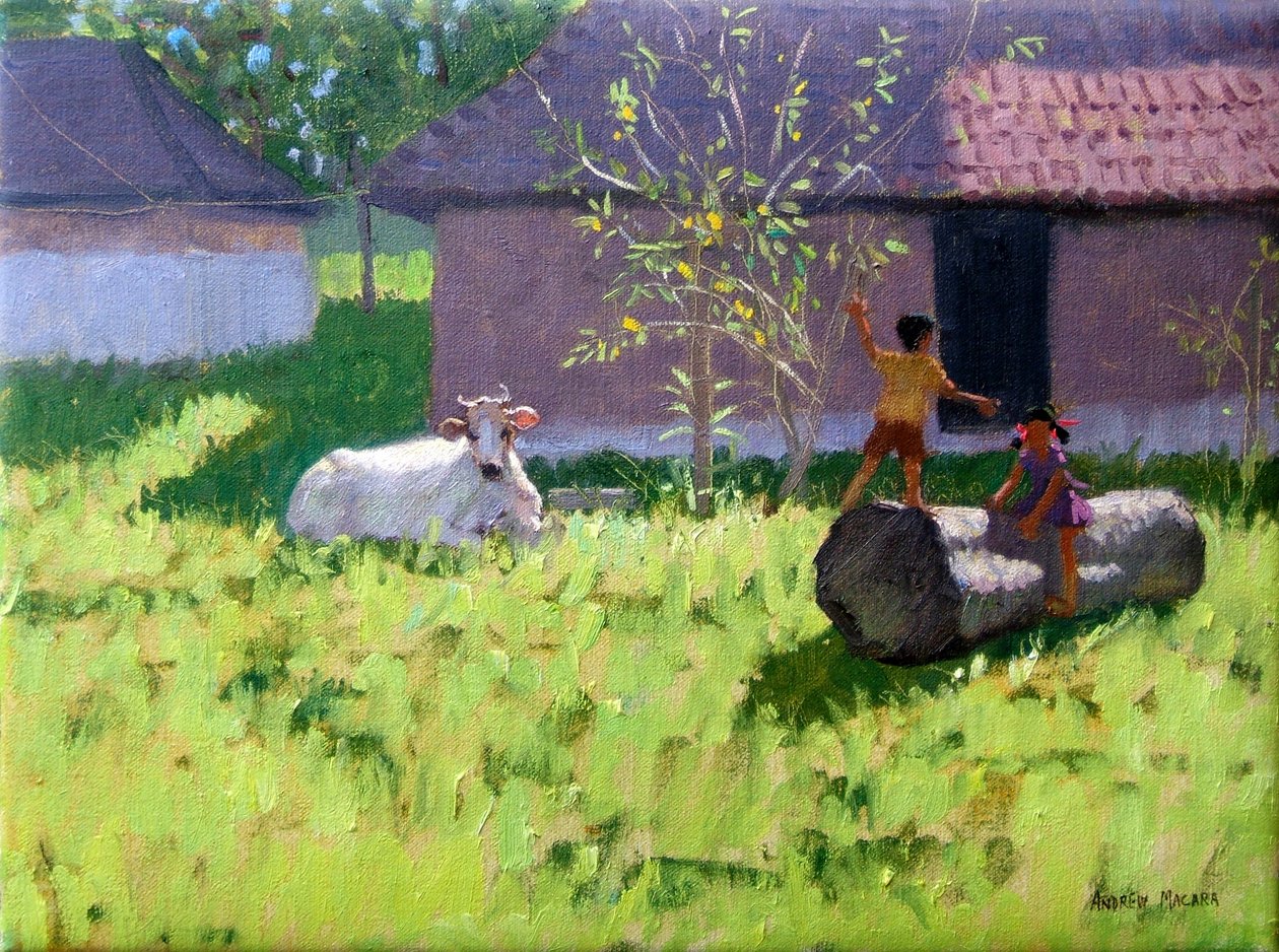 Witte koe en twee kinderen, Mankotta-eiland, Kerala, India door Andrew Macara
