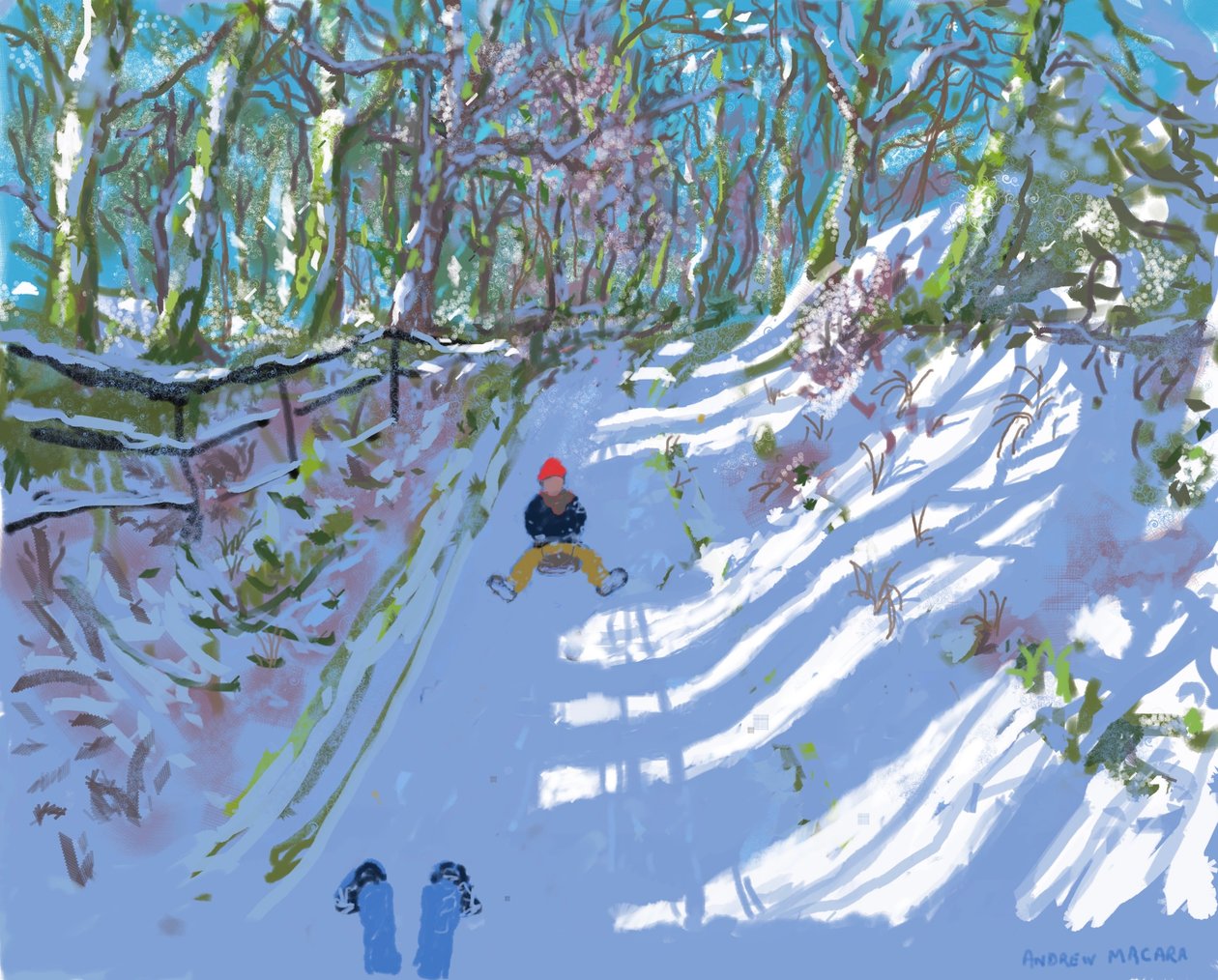 iPad schilderij, sleeën, Windley Lane, Idridgehay, Belper door Andrew Macara