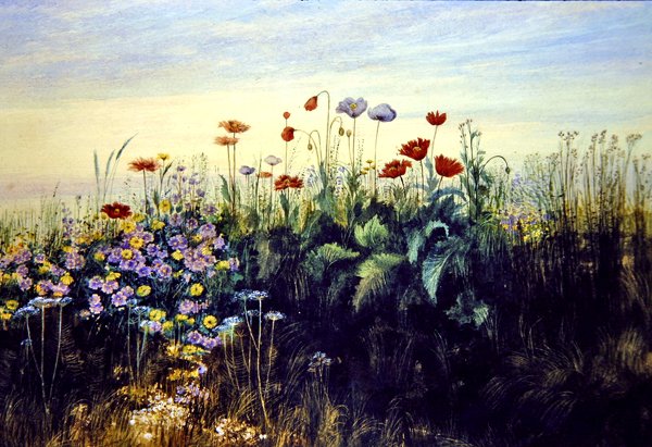 Wilde bloemen door Andrew Nicholl