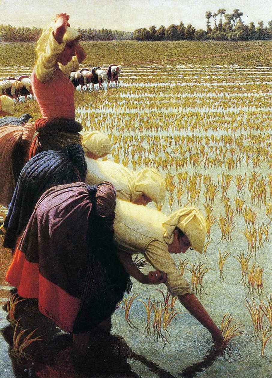 Een Italiaanse rijstveld, 1901 door Angelo Morbelli