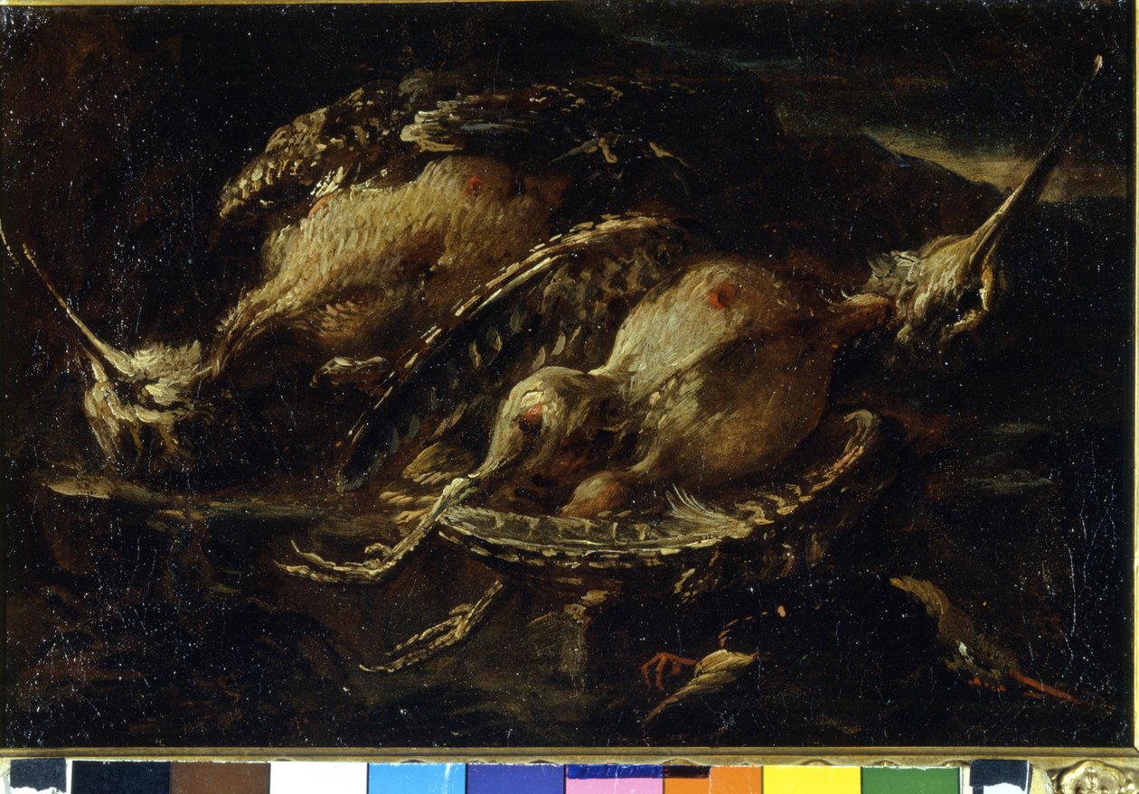 Stilleven van vogels. Schilderij door Angelo Maria Crivellone (? - 1730/60?). Milaan, CRA. door Angelo Maria Crivelli