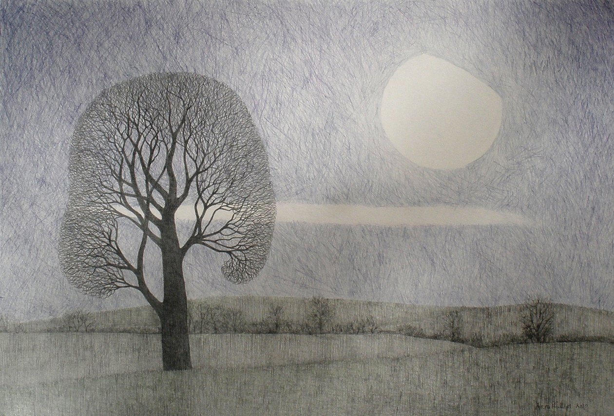 Februarimaan, 2010 door Anna Phillips