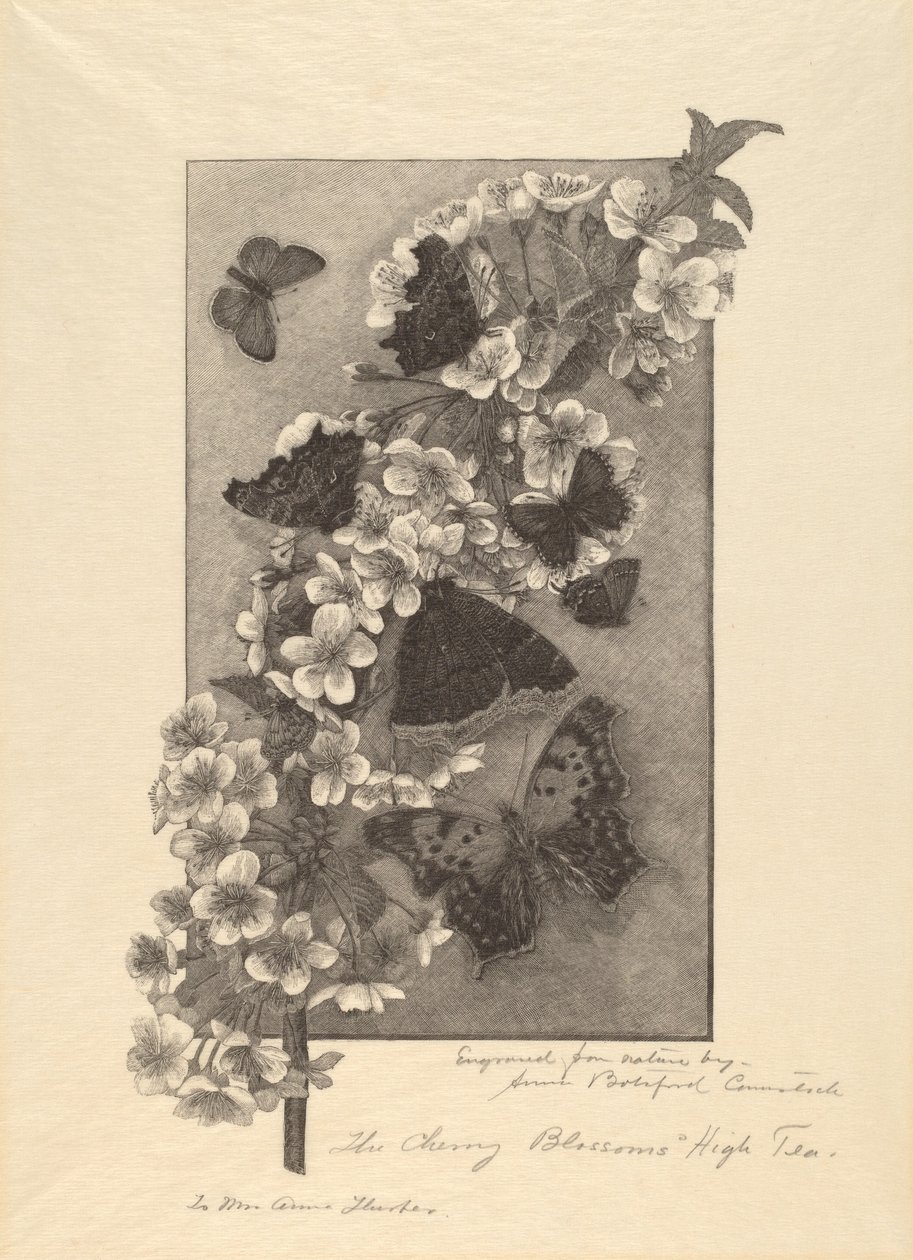 De Kersenbloesems - High Tea door Anna Botsford Comstock