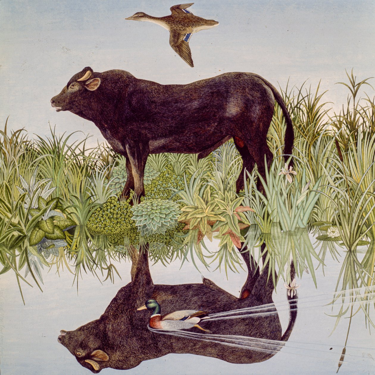 Reflecteren, 2004 (acryl) door Anna Pugh