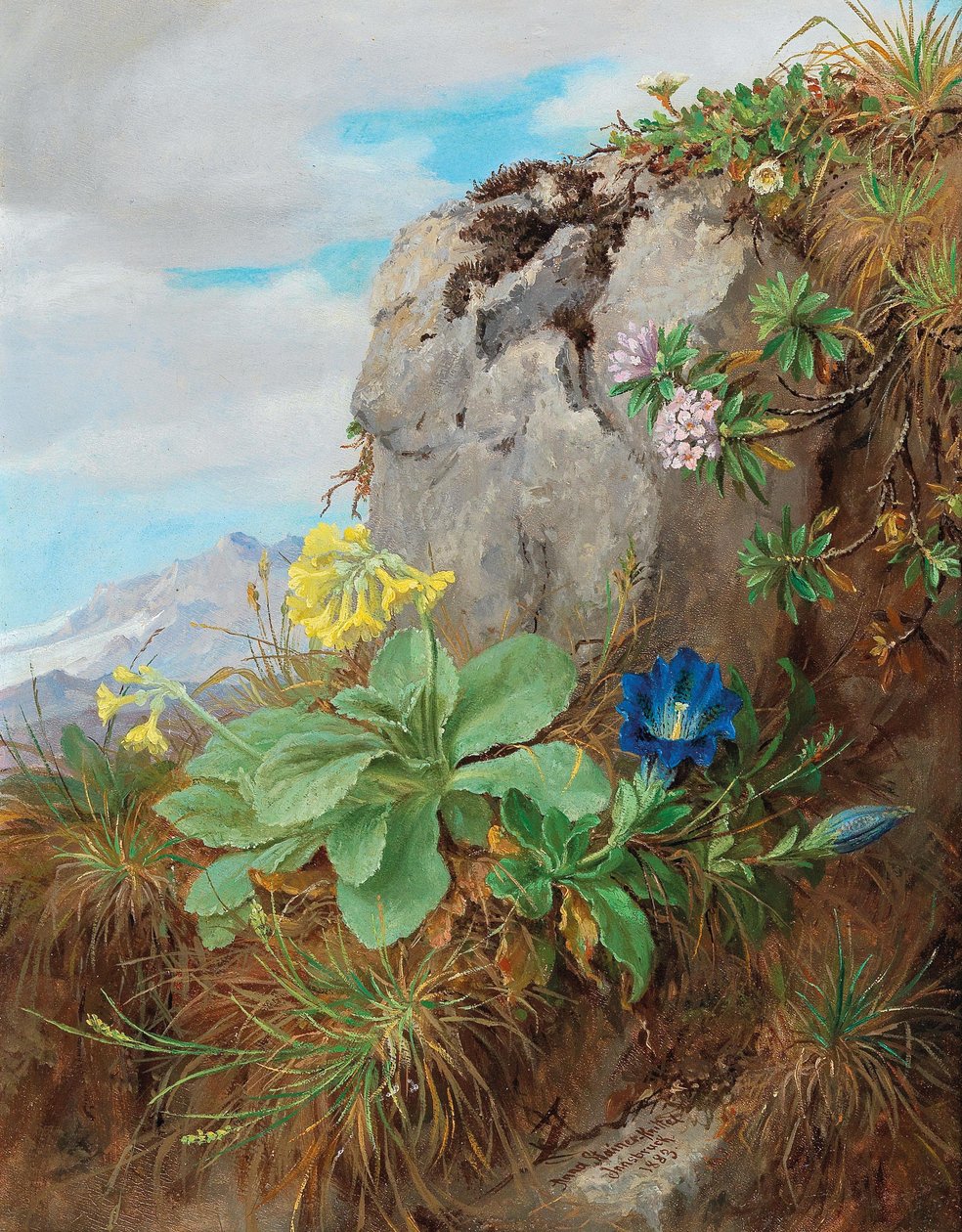 Alpine bloemen door Anna Stainer Knittel