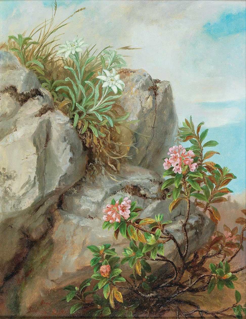 Alpine rozen door Anna Stainer-Knittel