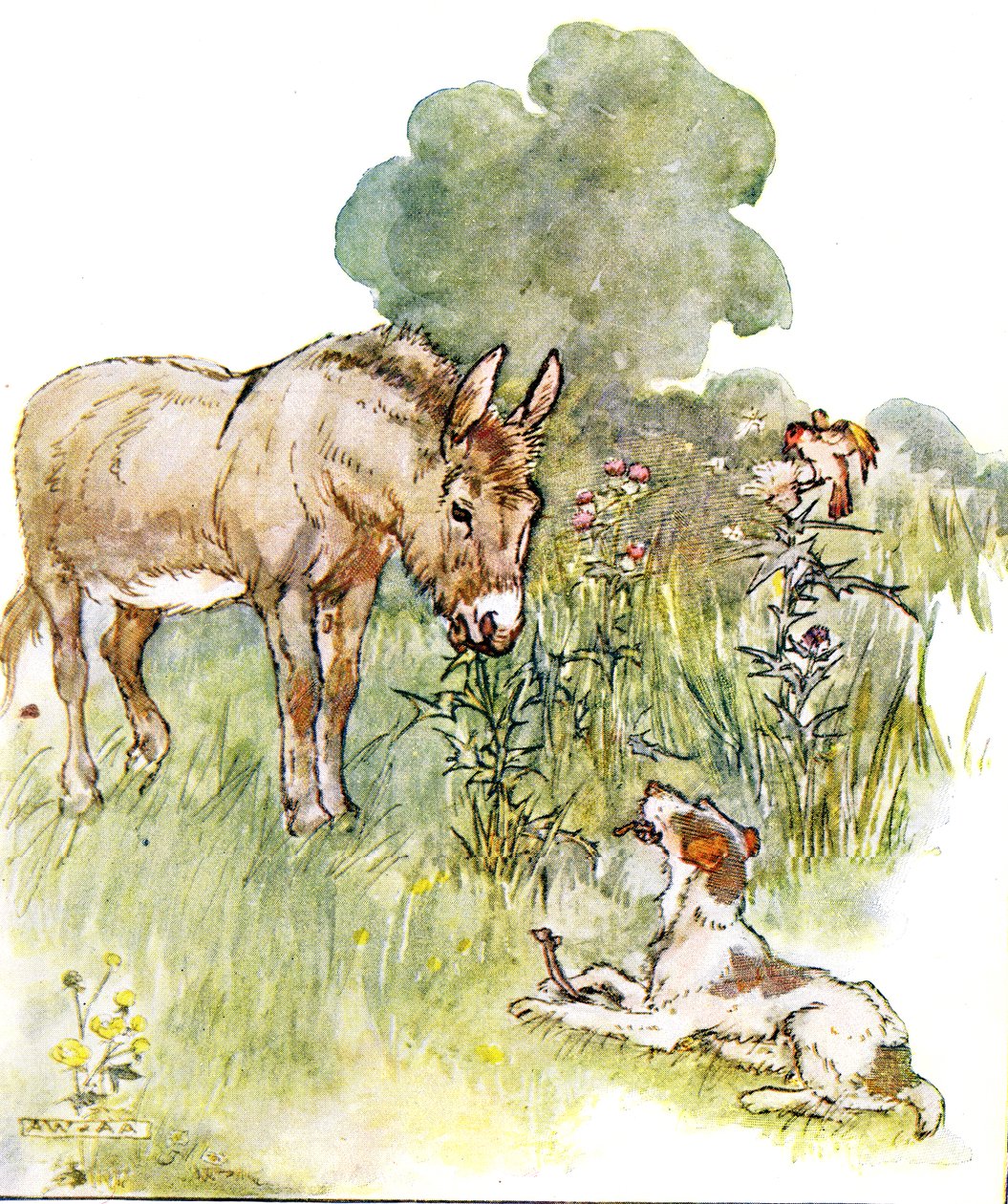 Had een gesprek met Ponto die met een bot naar mijn veld kwam, illustratie uit 