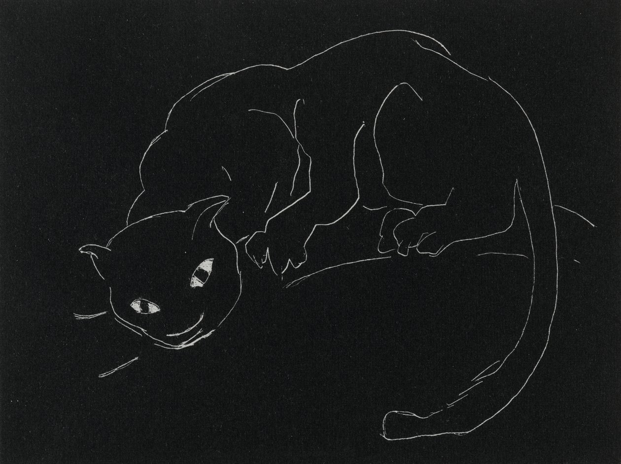 Nacht Serie: De Kat door Anne Goldthwaite