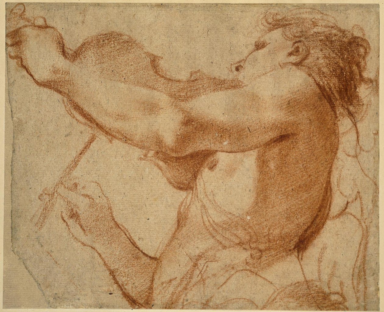 Een engel die viool speelt door Annibale Carracci