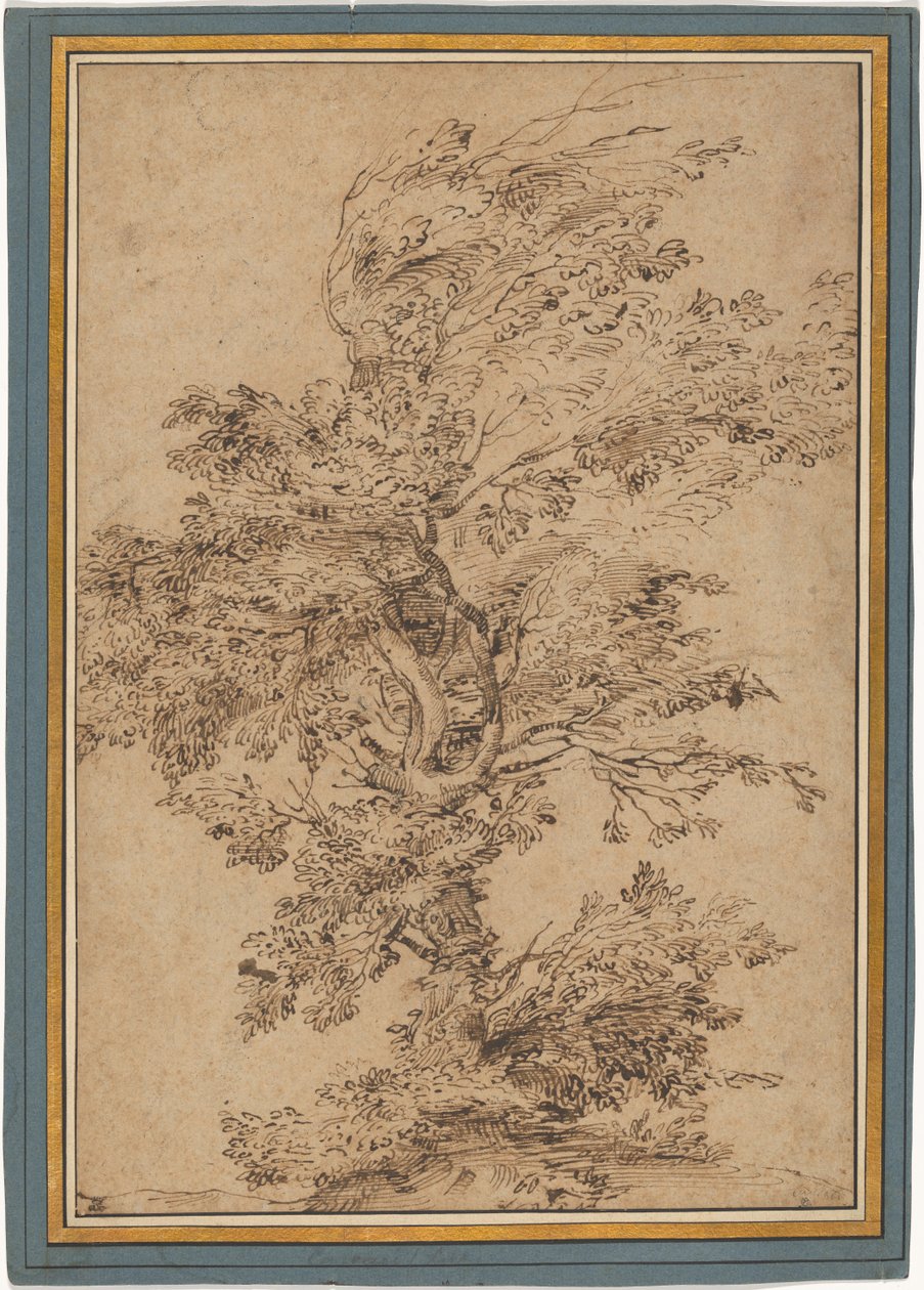 Studie eines Baumes door Annibale Carracci