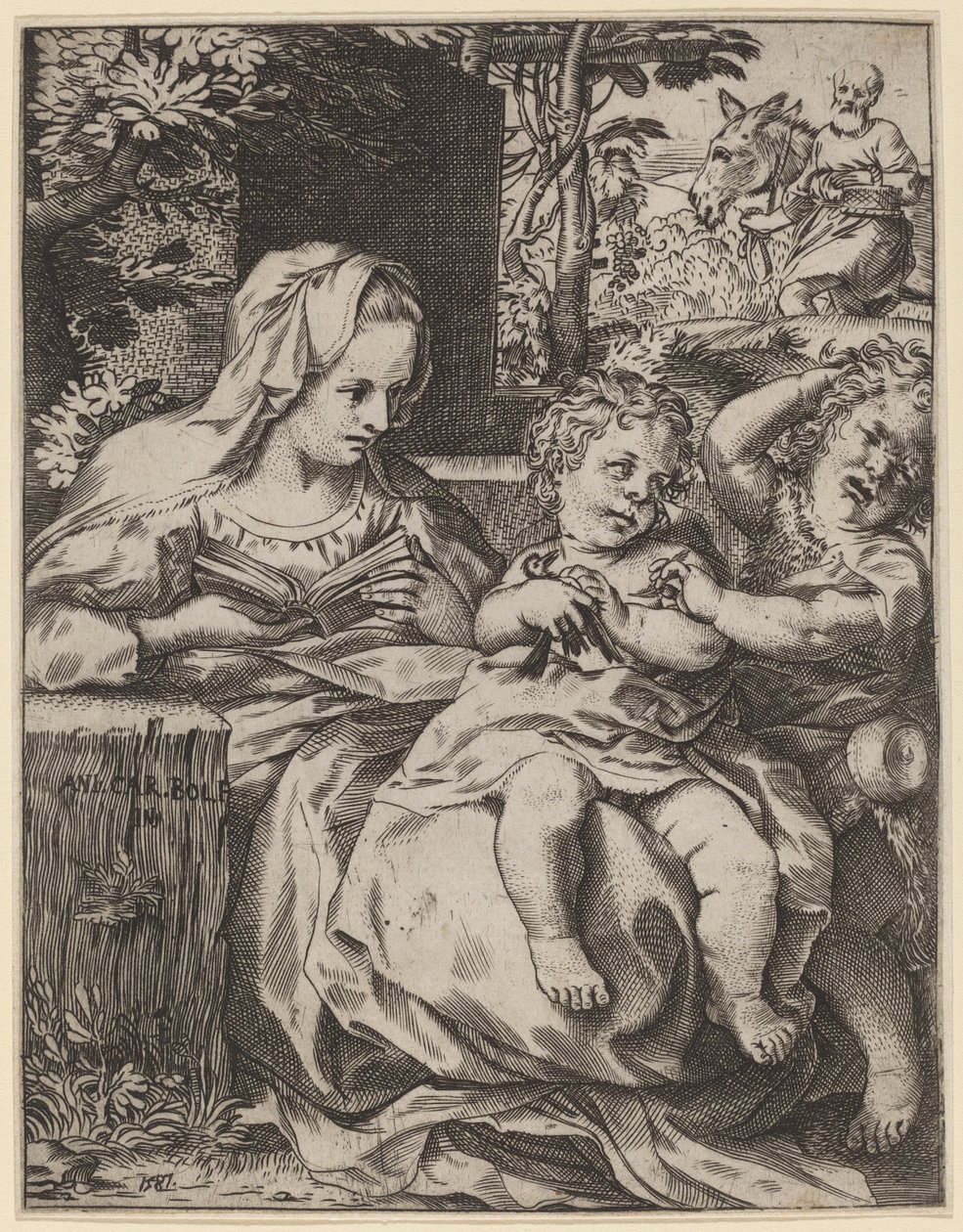 De Madonna van de Zwaluw (La Madonna Della Rondinella) door Annibale Carracci