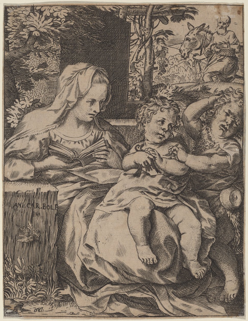 De Madonna van de Zwaluw door Annibale Carracci