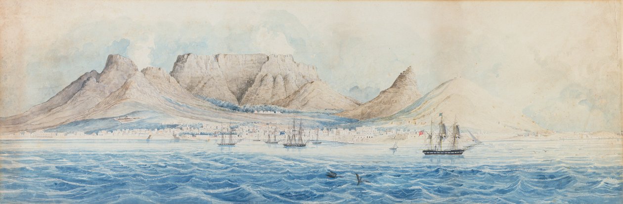 Uitzicht op Table Bay, Koloniale School, begin 19e eeuw door Unbekannt Unbekannt