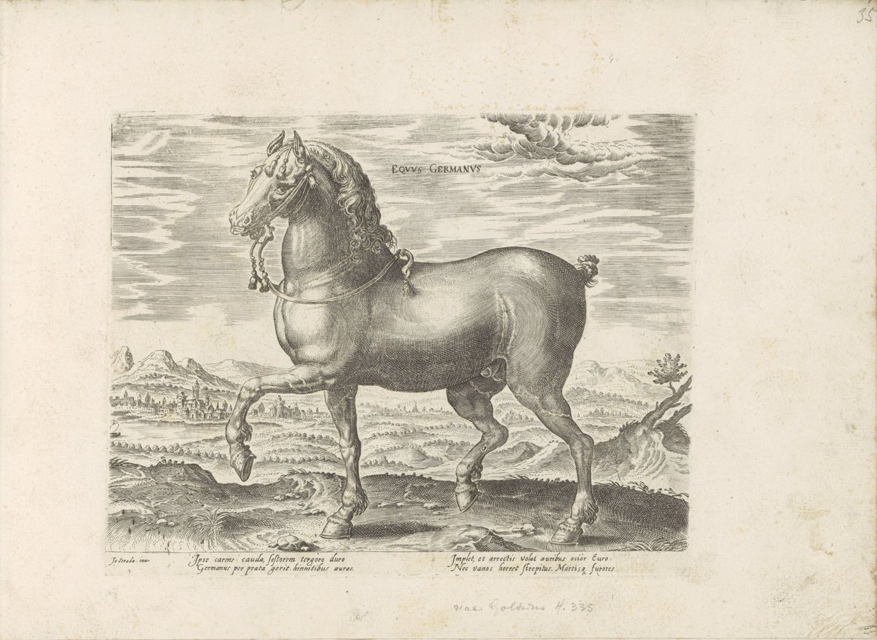 Duits paard door Anonymous