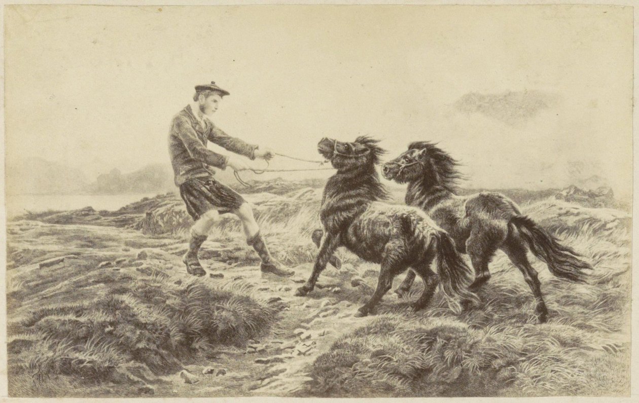 Schotse man met twee pony