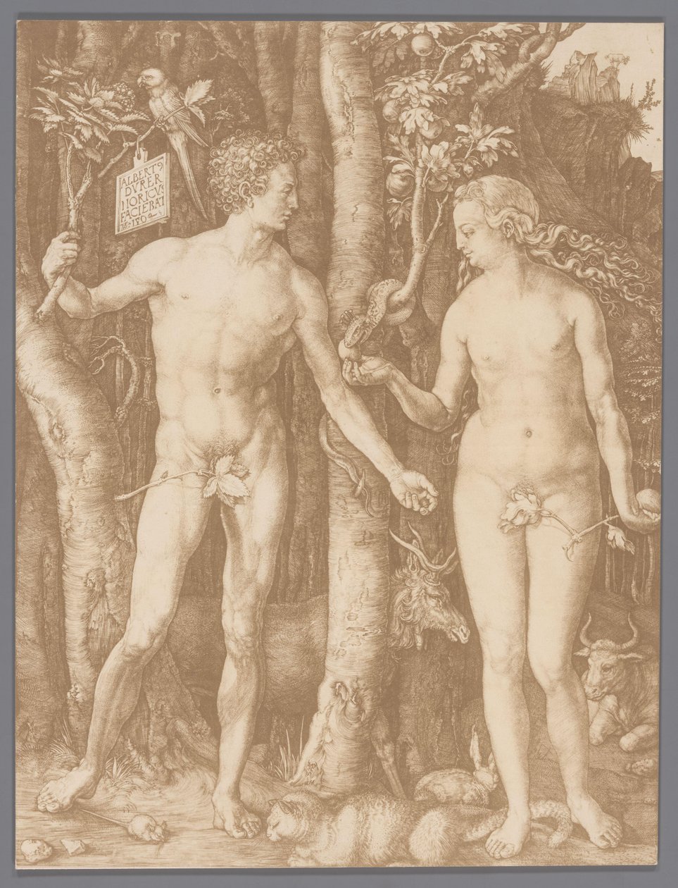 Adam en Eva door Albrecht Dürer door Anonymous