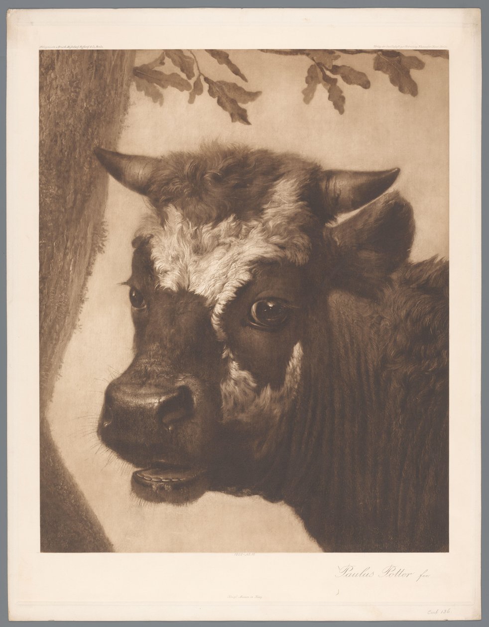 Detail van De stier door Paulus Potter door Anonymous