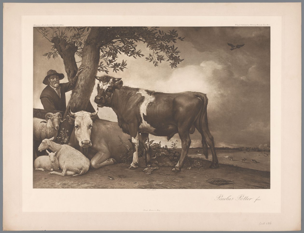 De stier door Paulus Potter door Anonymous