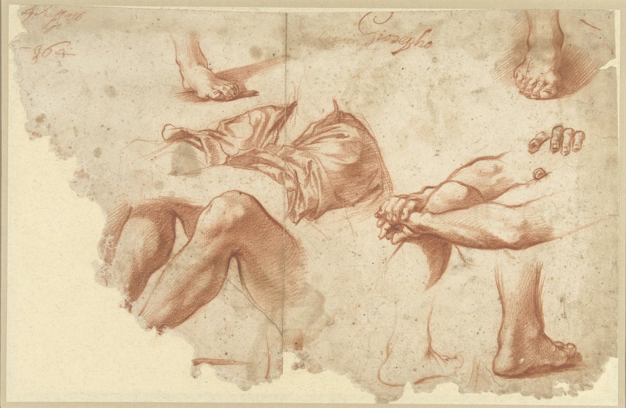 Fragment van studieblad met armen, benen, voeten door Anonymous