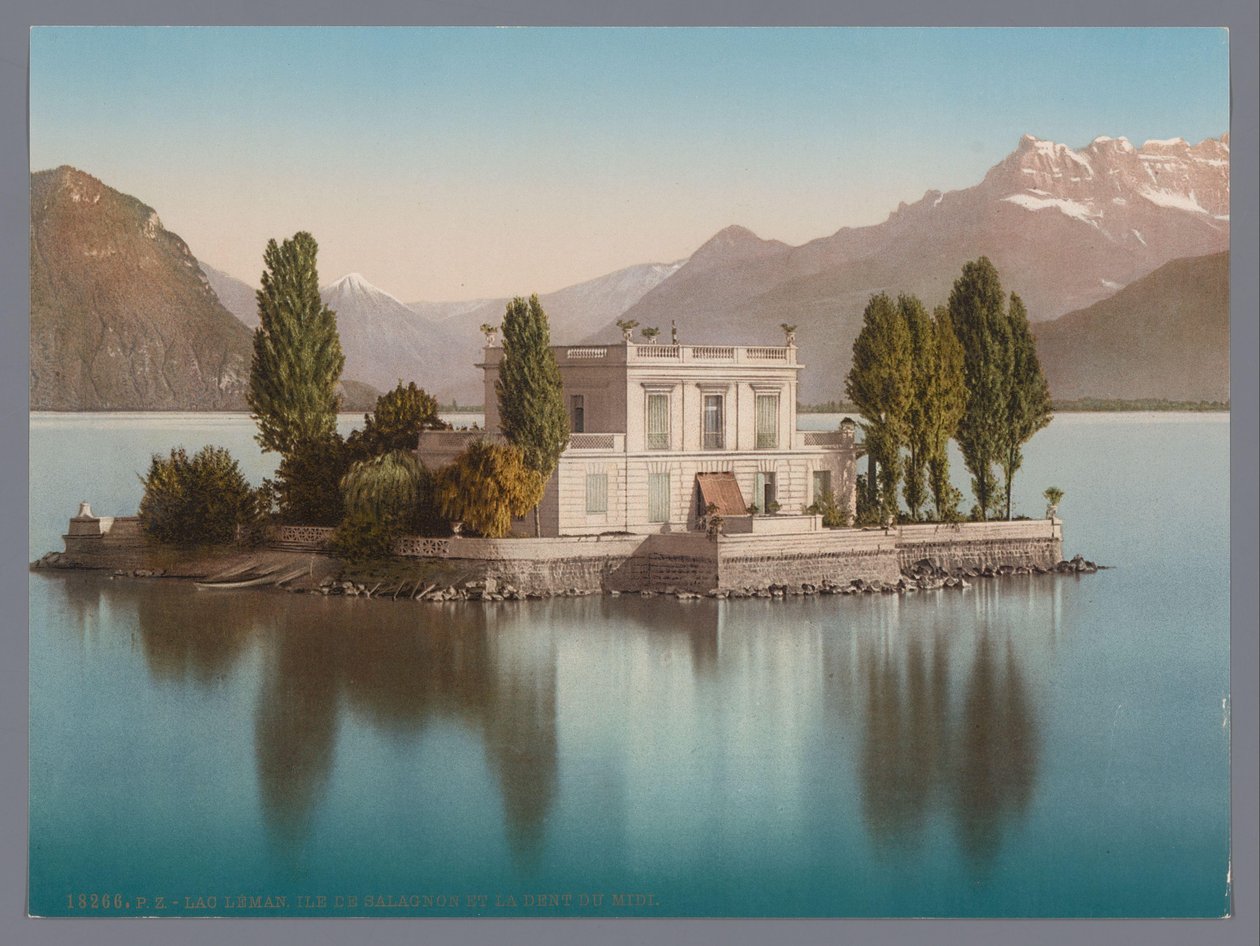 Gezicht op Île de Salagnon in het Meer van Genève, op de achtergrond de Dents du Midi door Anonymous