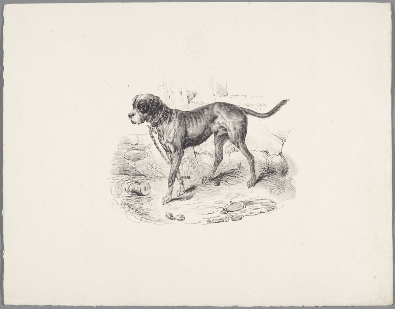 Hond aan een ketting (Zes kleine dierenstudies) door Anonymous
