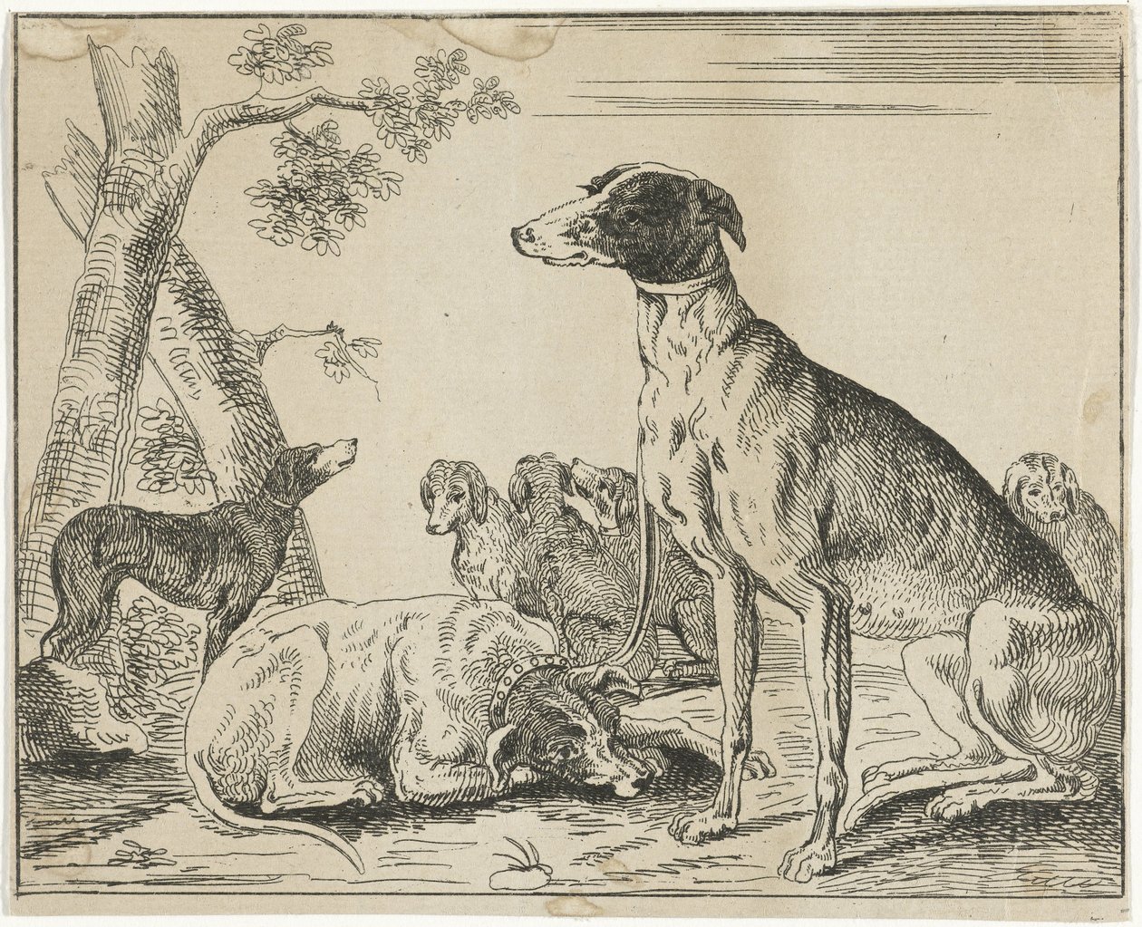 Hondenkennel door Anonymous