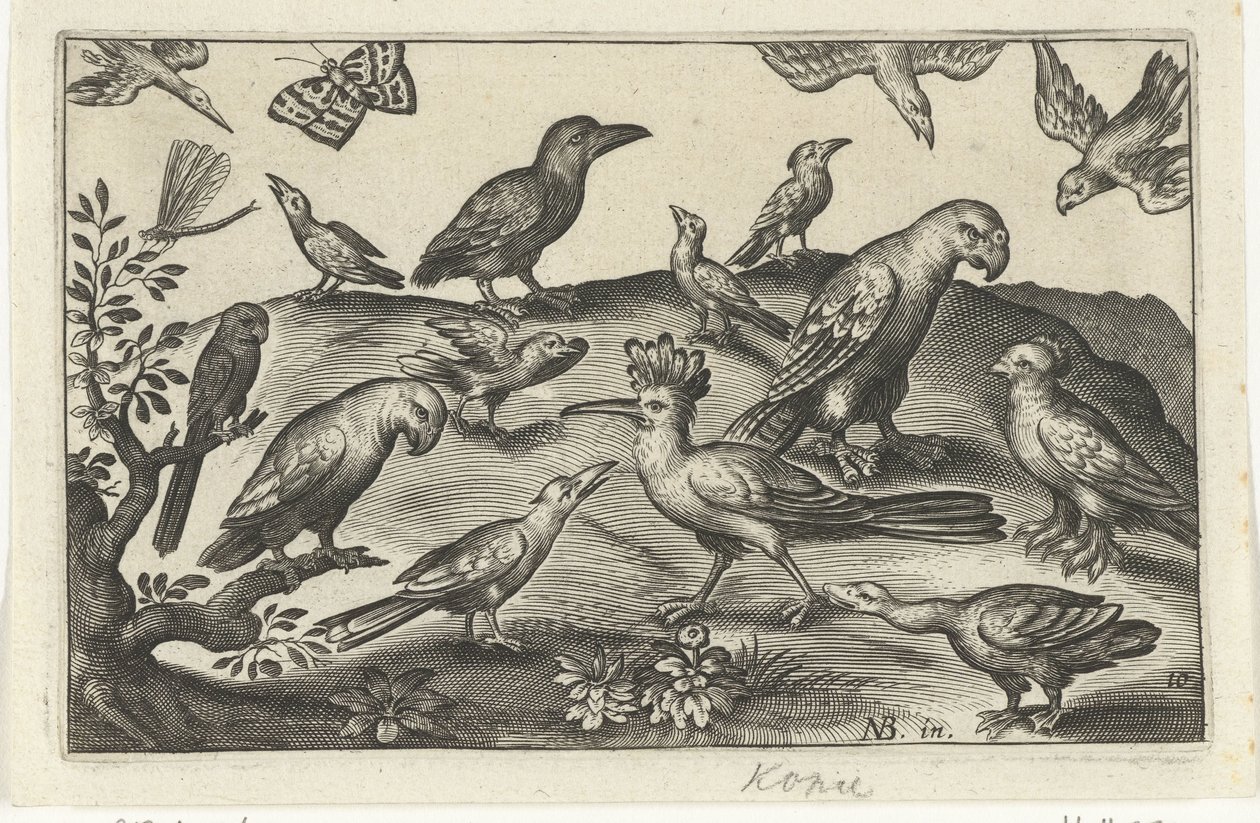 Hop en andere vogels door Anonymous