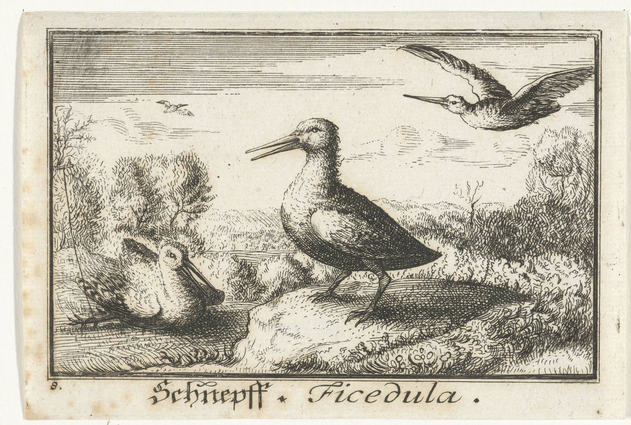 Landschap met drie snippen door Anonymous