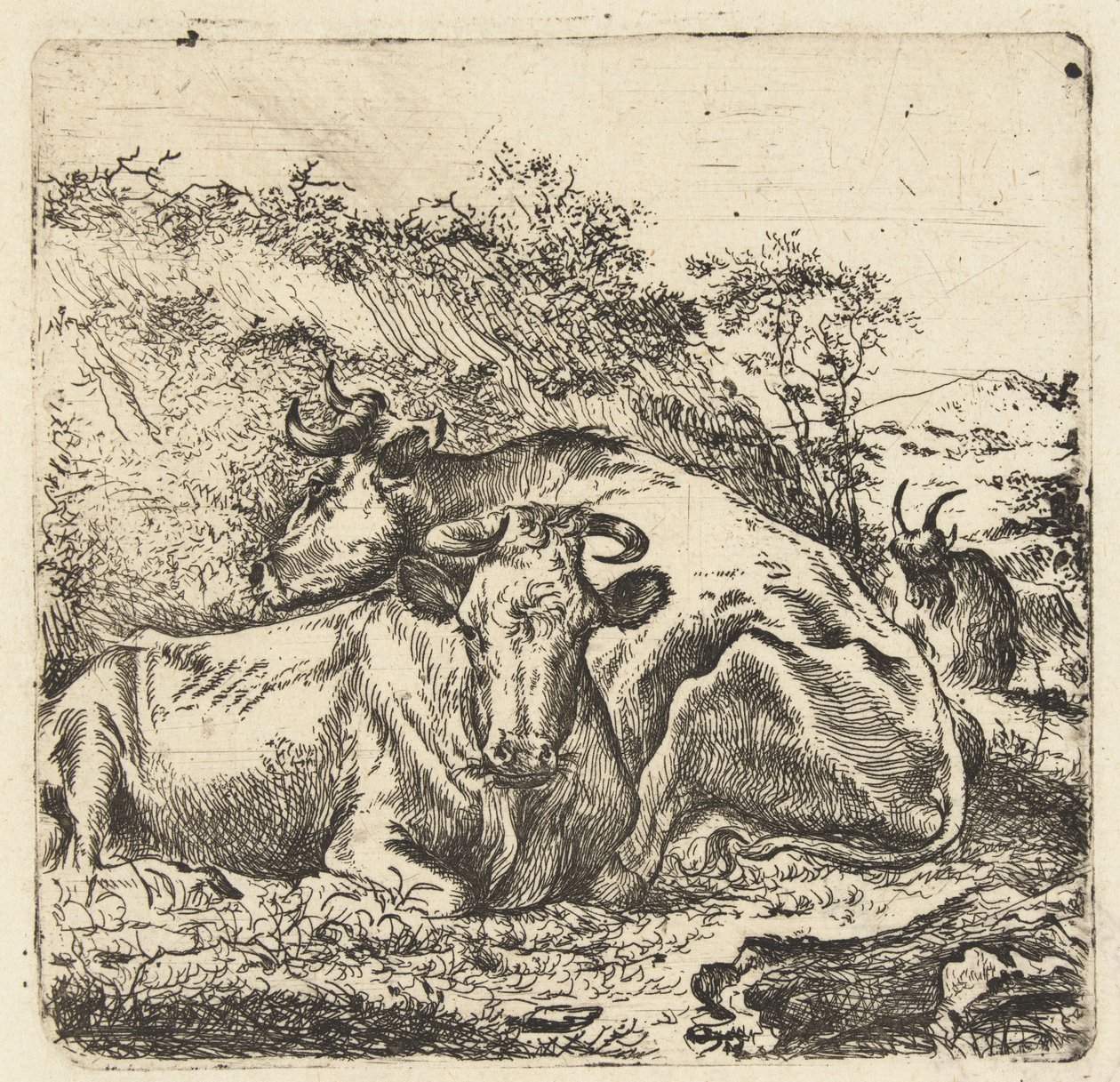 Landschap met twee rustende koeien door Anonymous