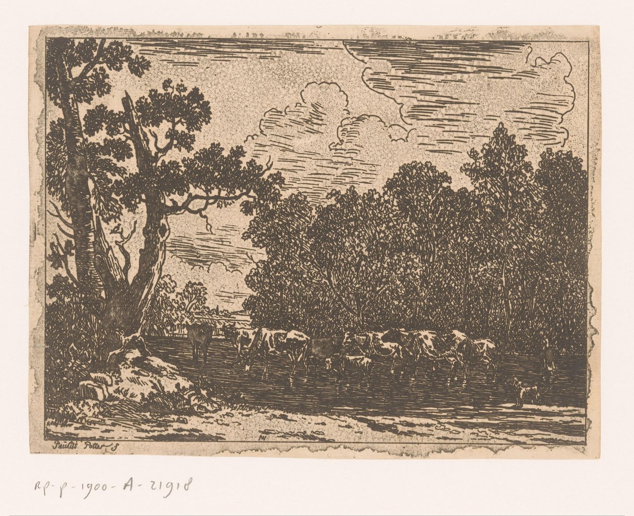 Landschap met vee door Anonymous