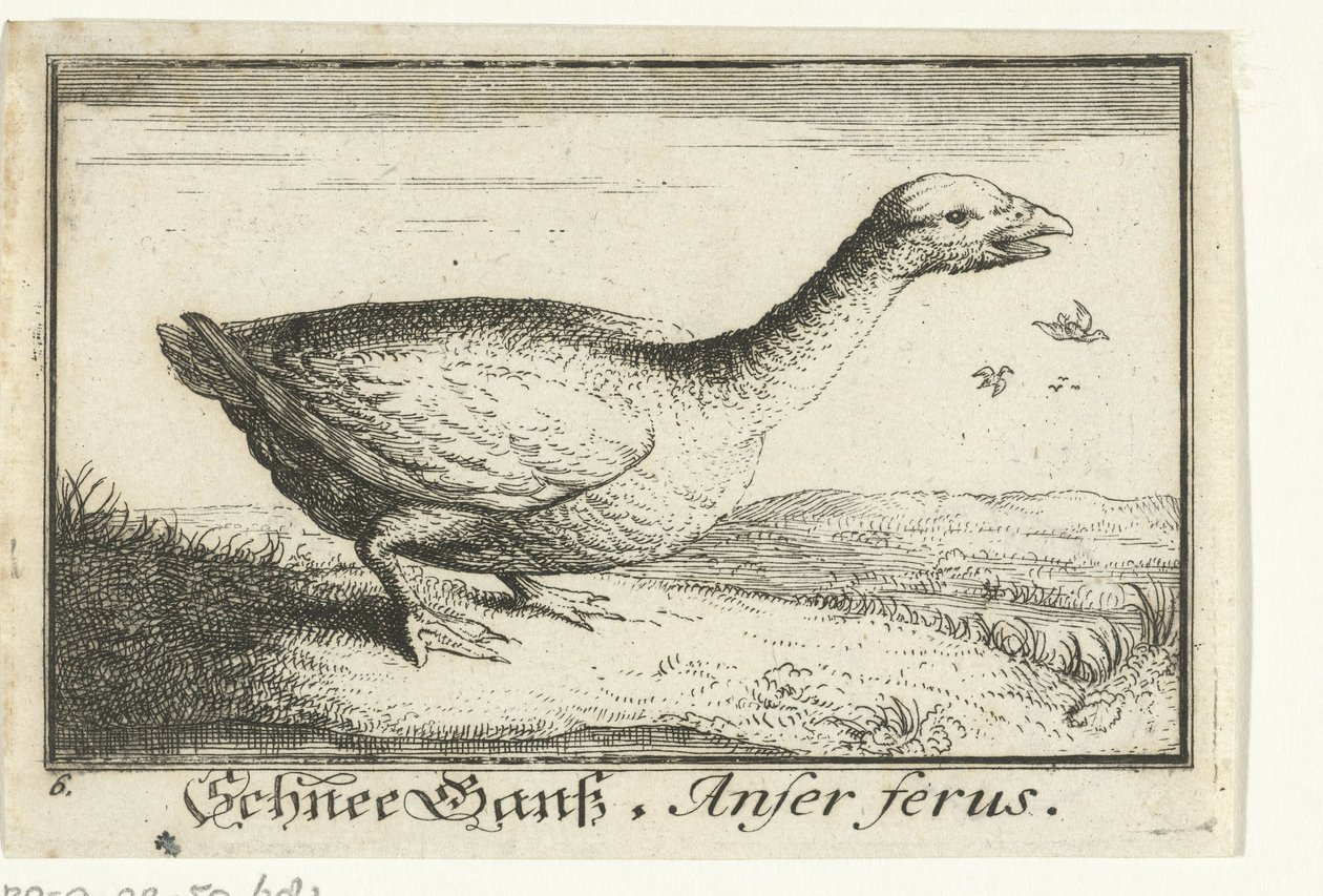 Landschap met wilde gans door Anonymous