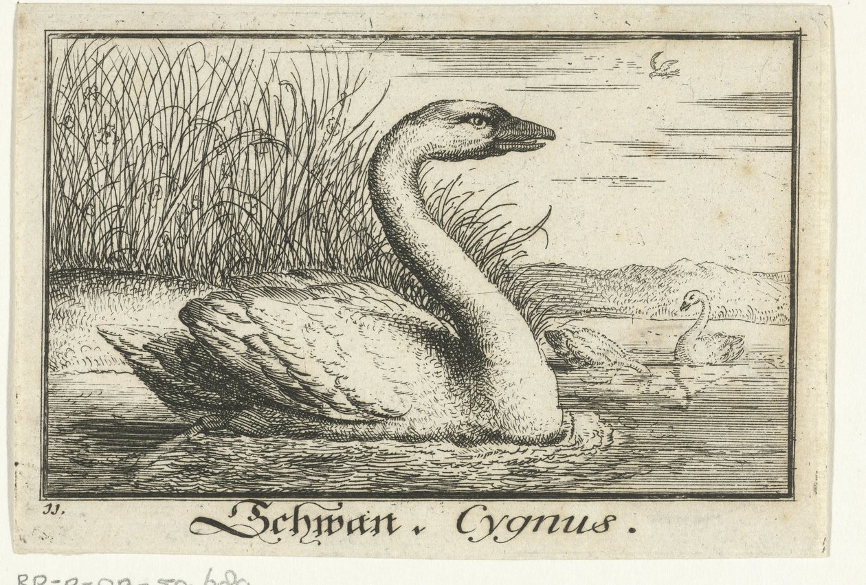 Landschap met zwaan door Anonymous
