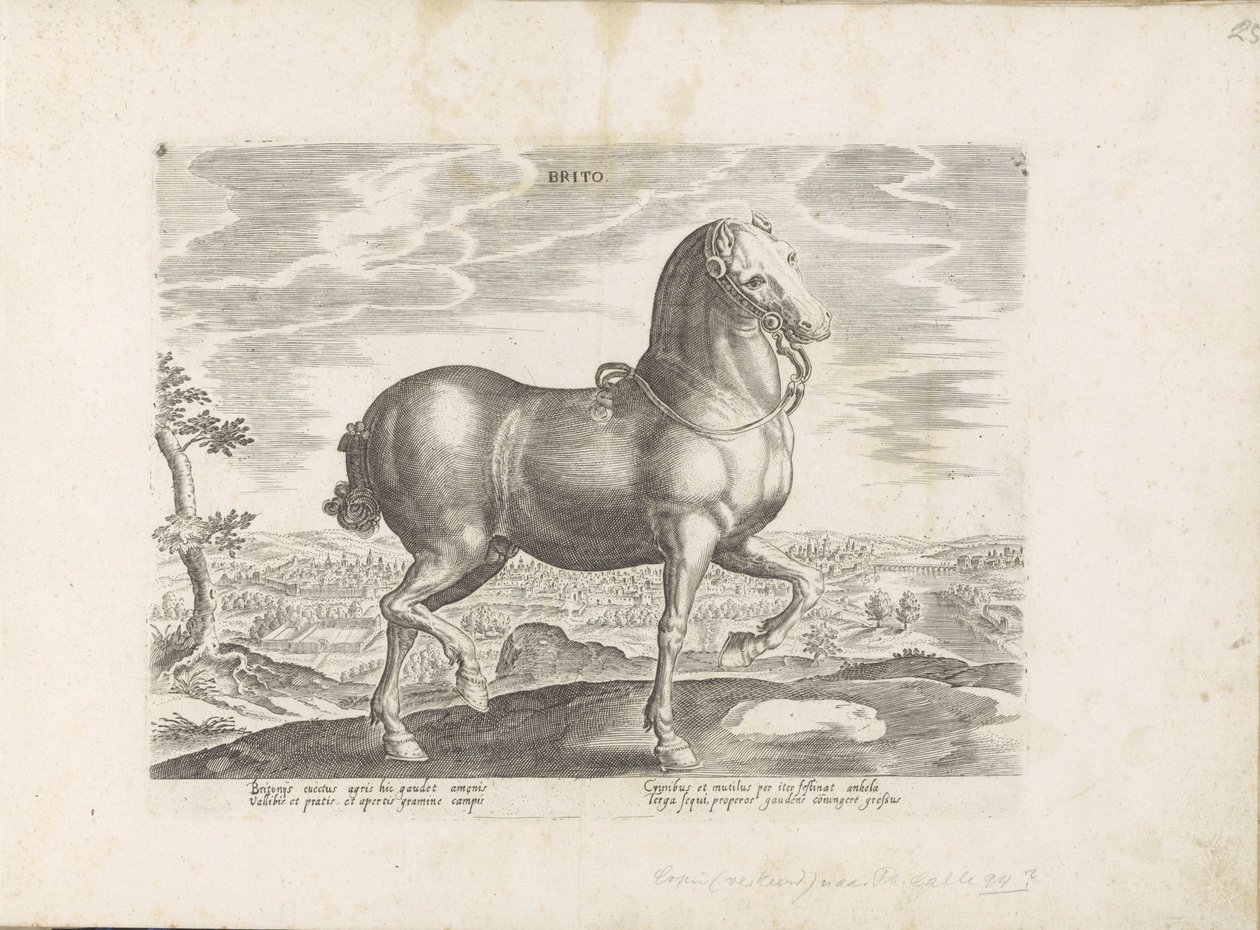 Paard uit Engeland door Anonymous