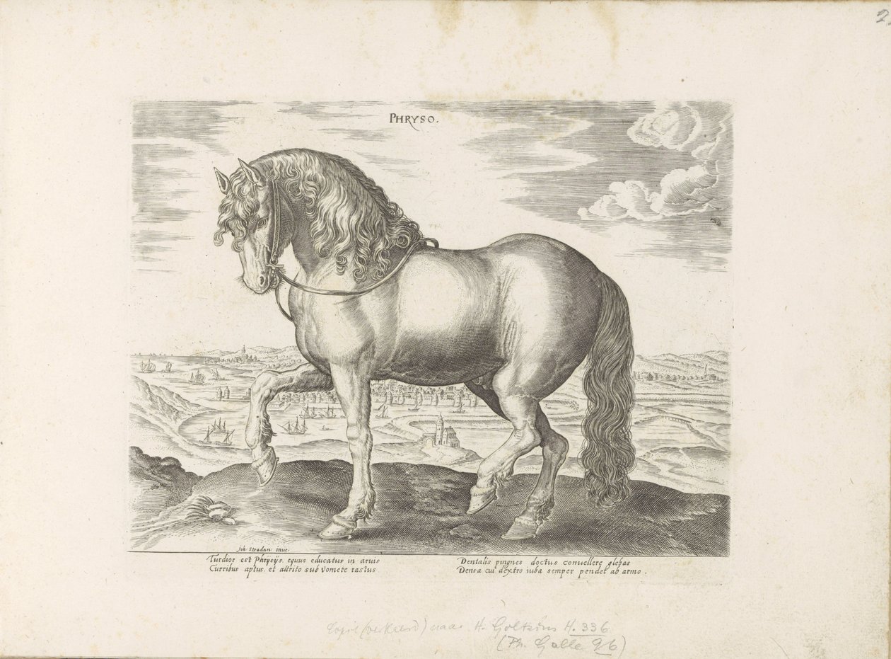 Paard uit Friesland door Anonymous