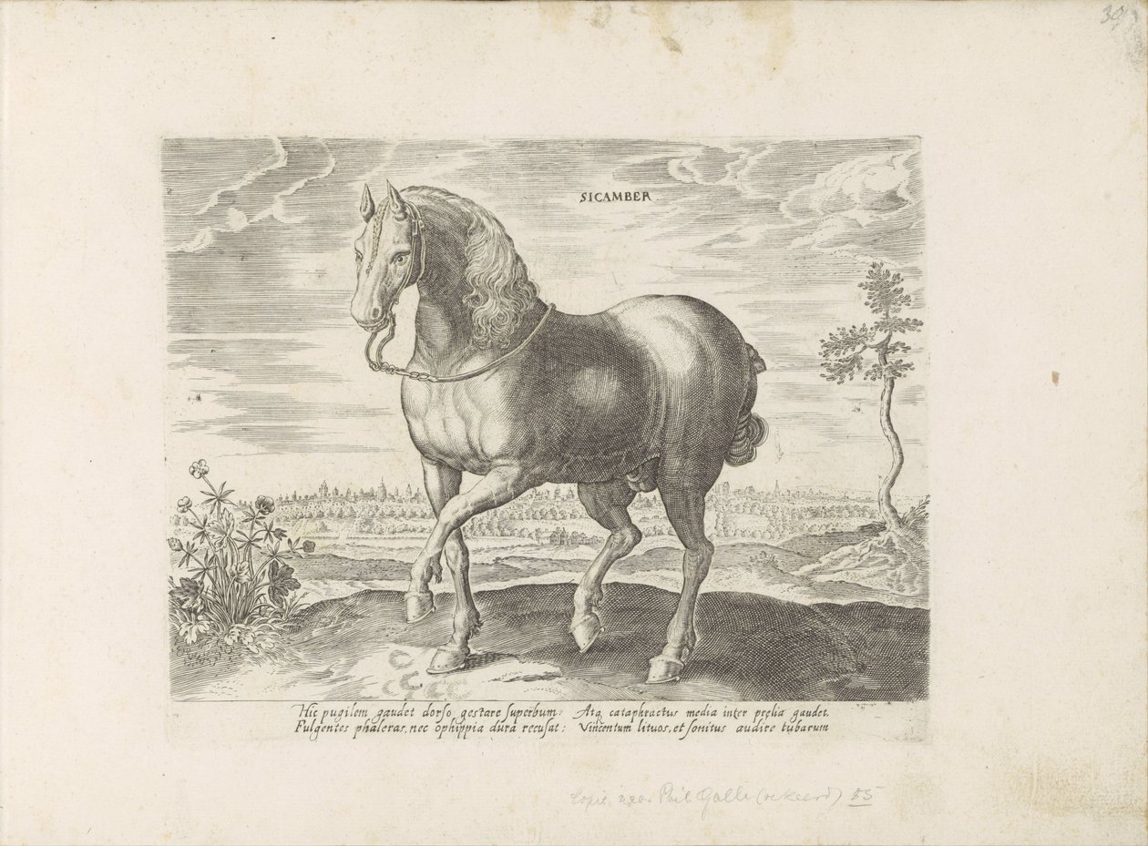 Paard uit Gelre door Anonymous