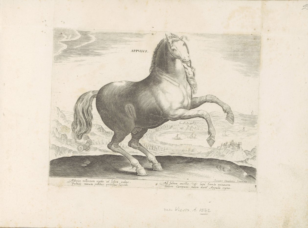 Paard uit Zuid-Italië door Anonymous