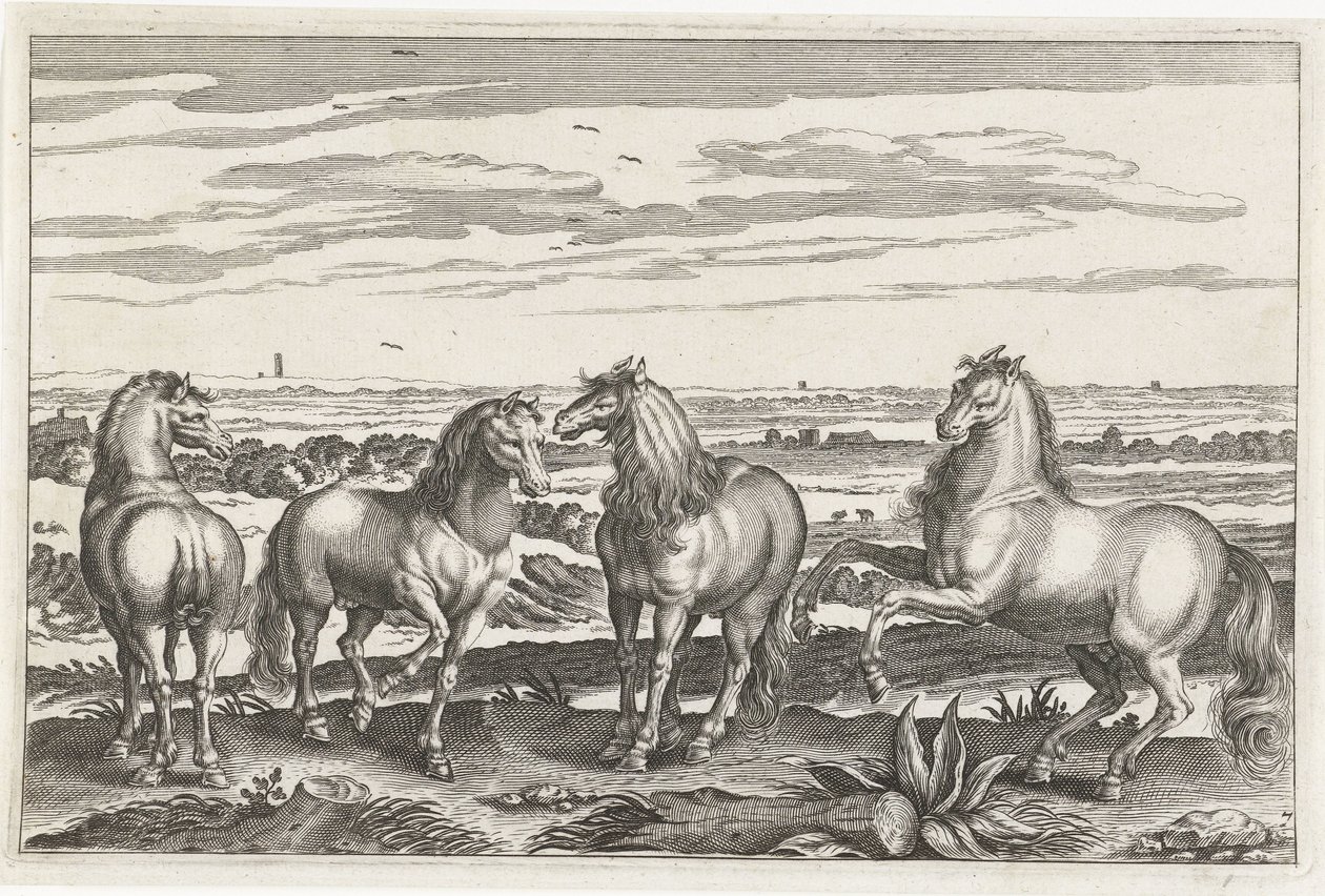 Paarden door Anonymous