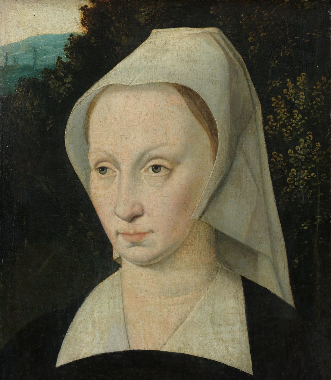 Portret van een vrouw door Anonymous