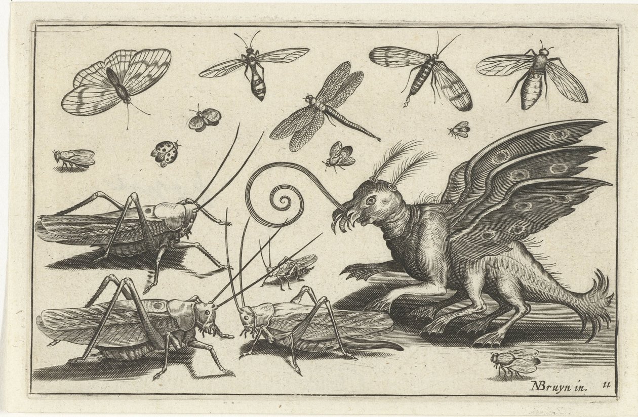 Sprinkhanen en fantasiewezen met vleugels en zwemvliezen Vogels en insecten (series title) door Anonymous