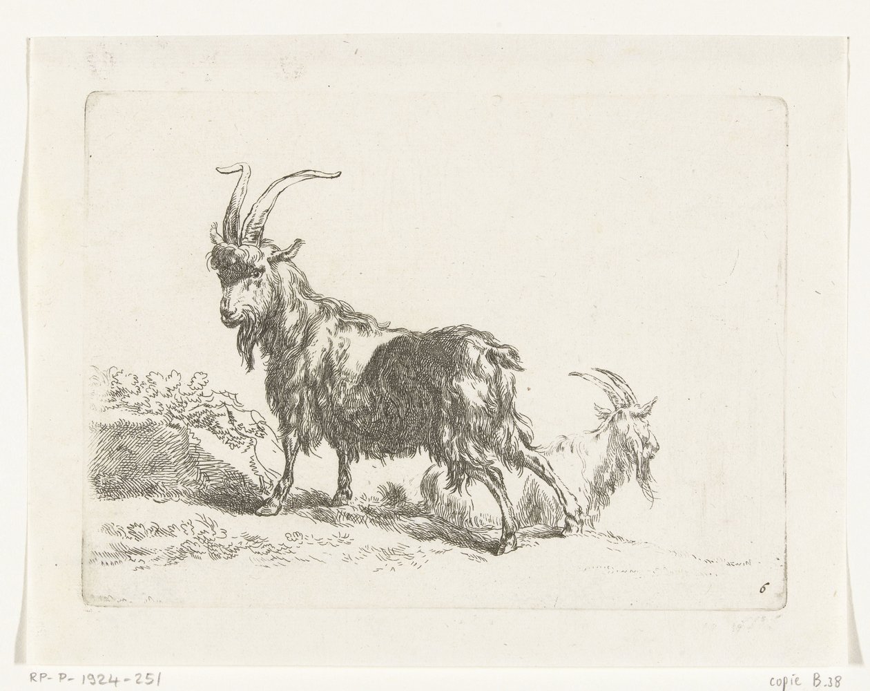 Staande en liggende geit of bok (Geiten en schapen naar N.P. Berchem) door Anonymous