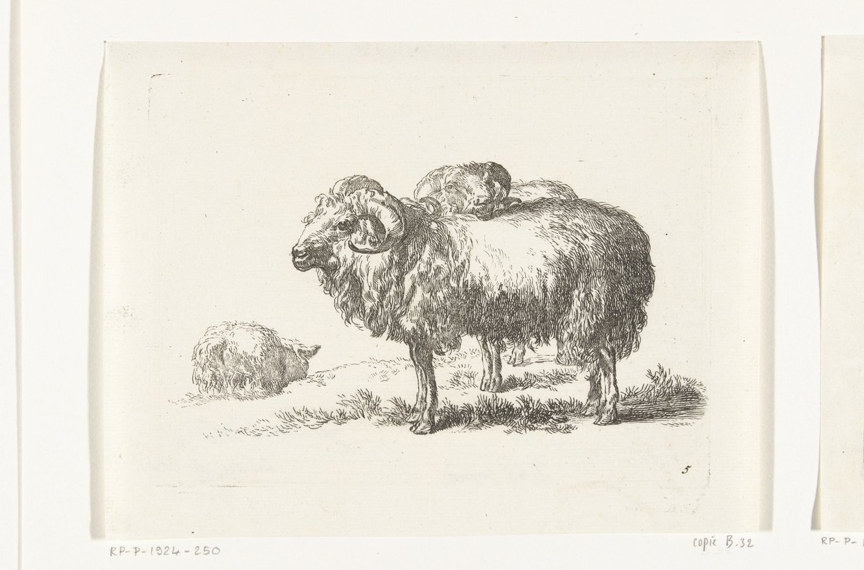 Twee bokken en een liggend schaap door Anonymous