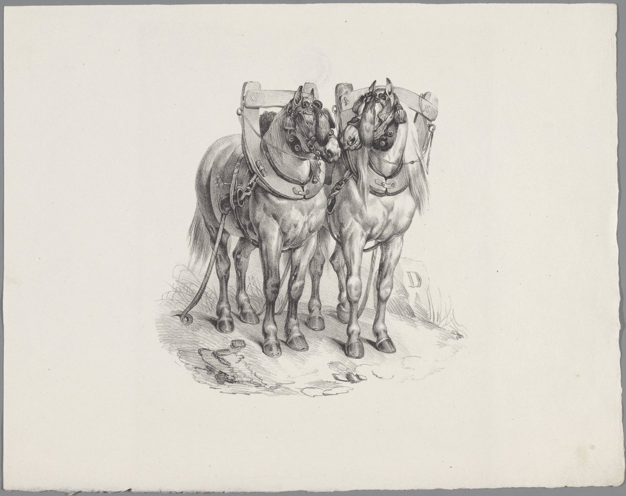 Twee opgetuigde paarden door Anonymous