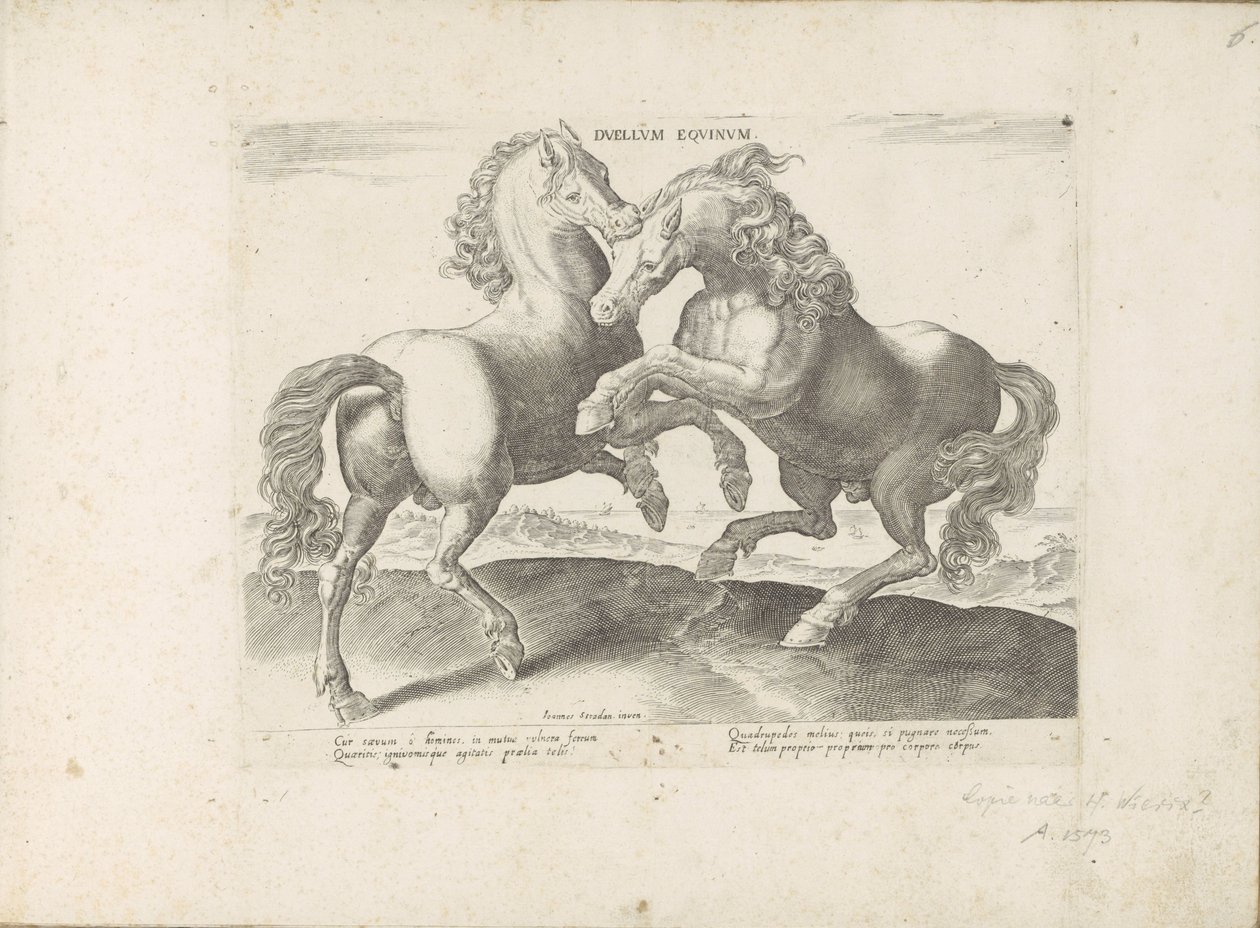 Twee vechtende paarden door Anonymous