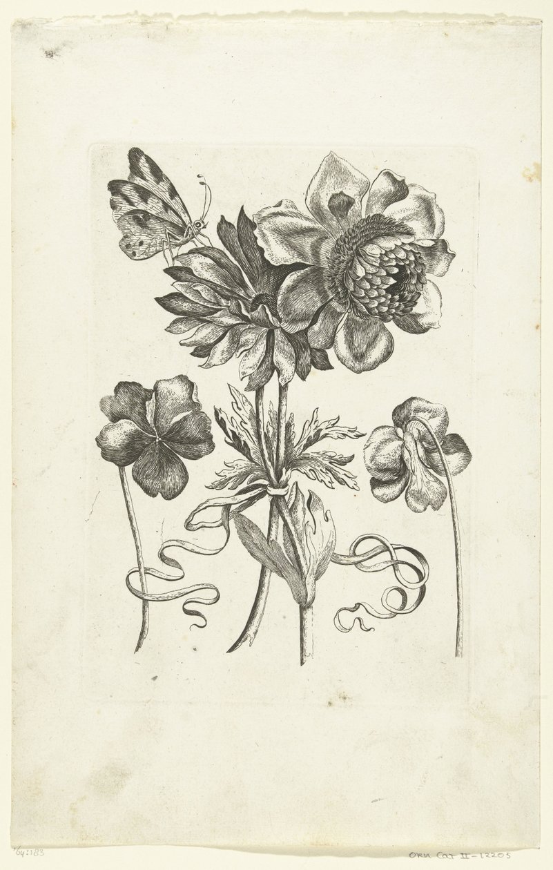 Vier bloemen, waaronder twee viooltjes door Anonymous