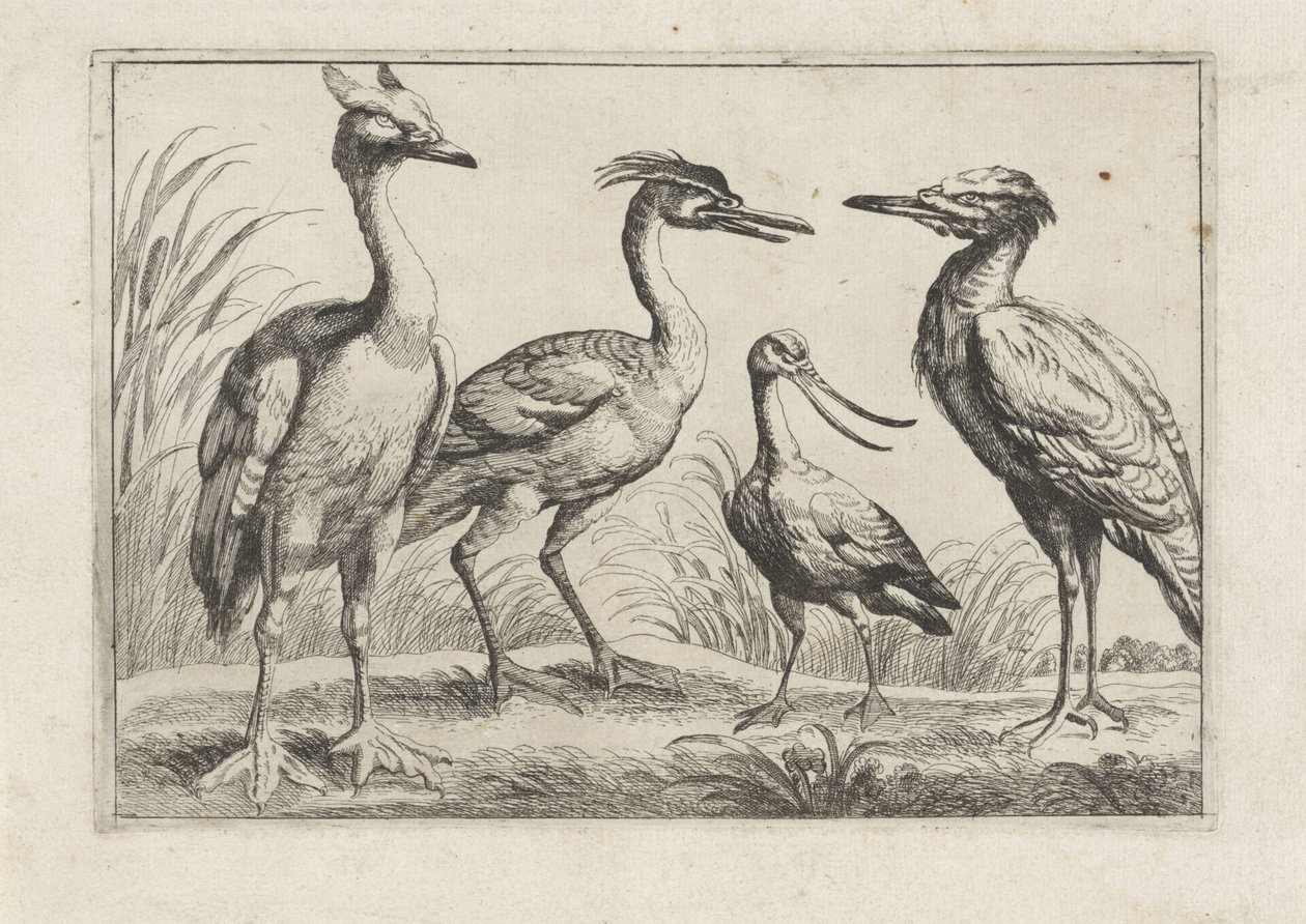 Vier waadvogels door Anonymous
