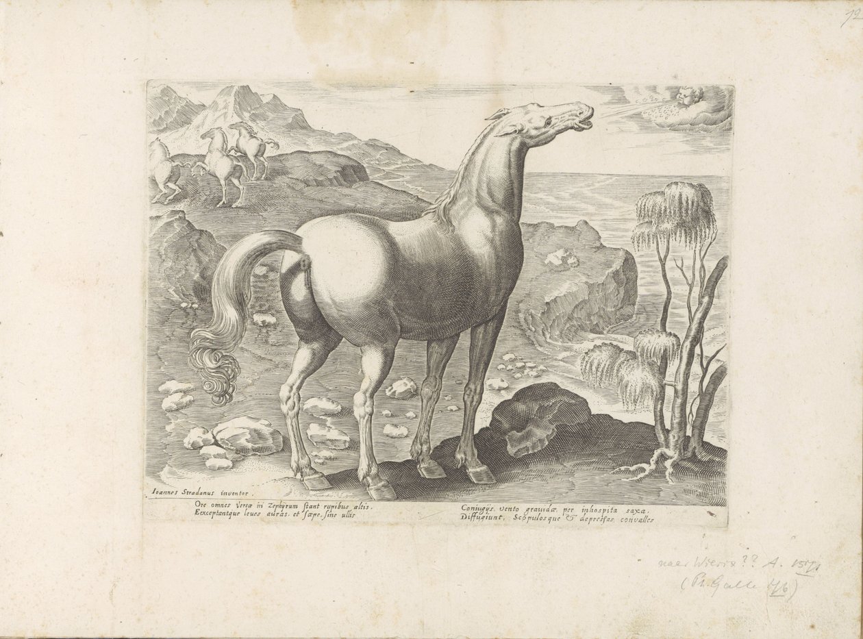 Zephyrus bevrucht een merrie door Anonymous
